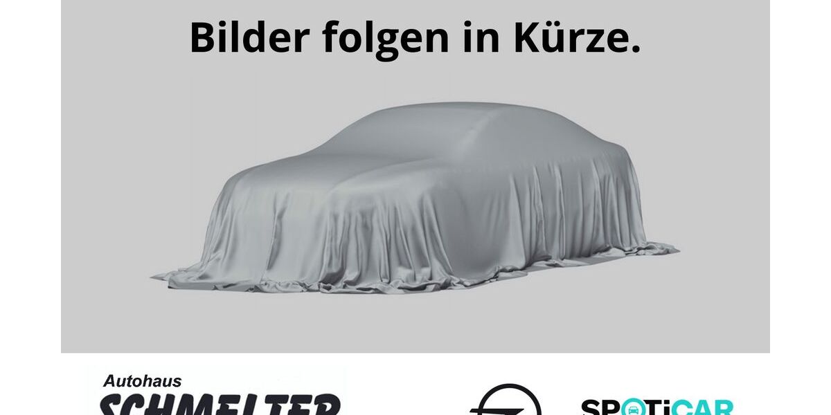 Opel Grandland (X) 12.054 km 25.940 &euro; Lennestadt 57368