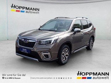 Gebrauchte Subaru Forester