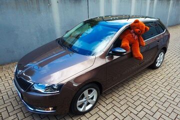 Gebrauchte Skoda Rapid