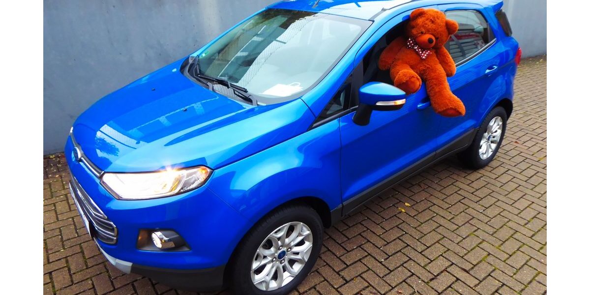 Ford EcoSport 47.600 km 10.916 &euro; Kreuztal-Krombach 57223