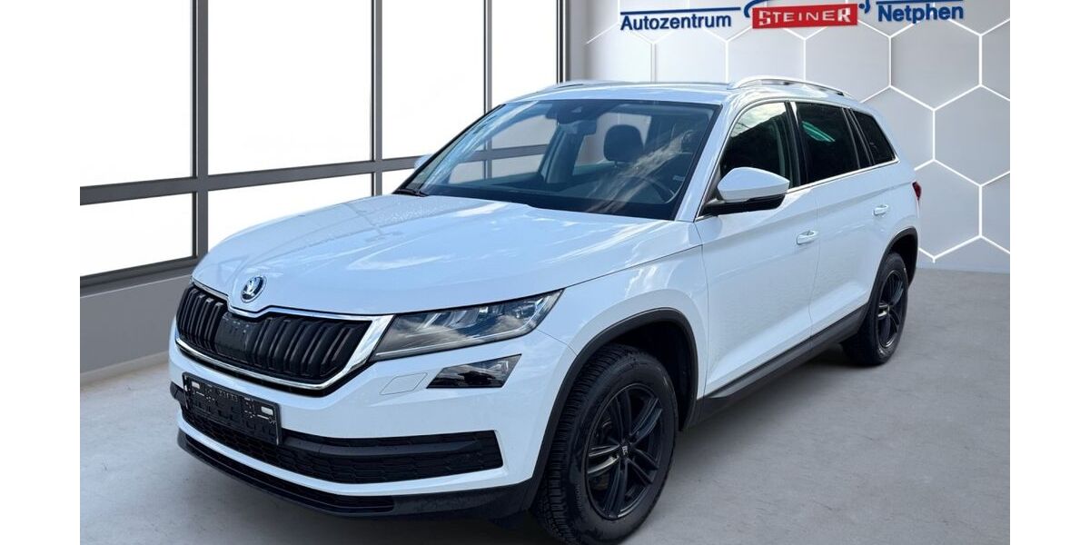 Skoda Kodiaq 100.570 km 17.800 &euro; Netphen 57250