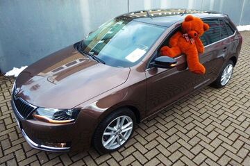 Gebrauchte Skoda Rapid