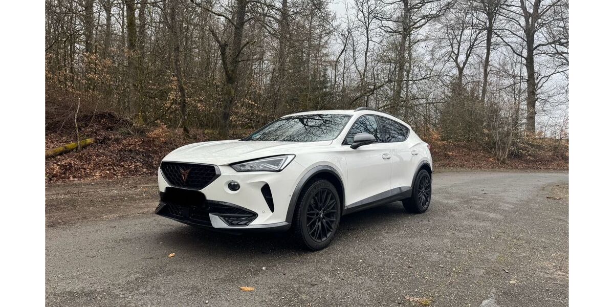 Cupra Formentor 41.000 km 28.700 &euro; Lennestadt 57368